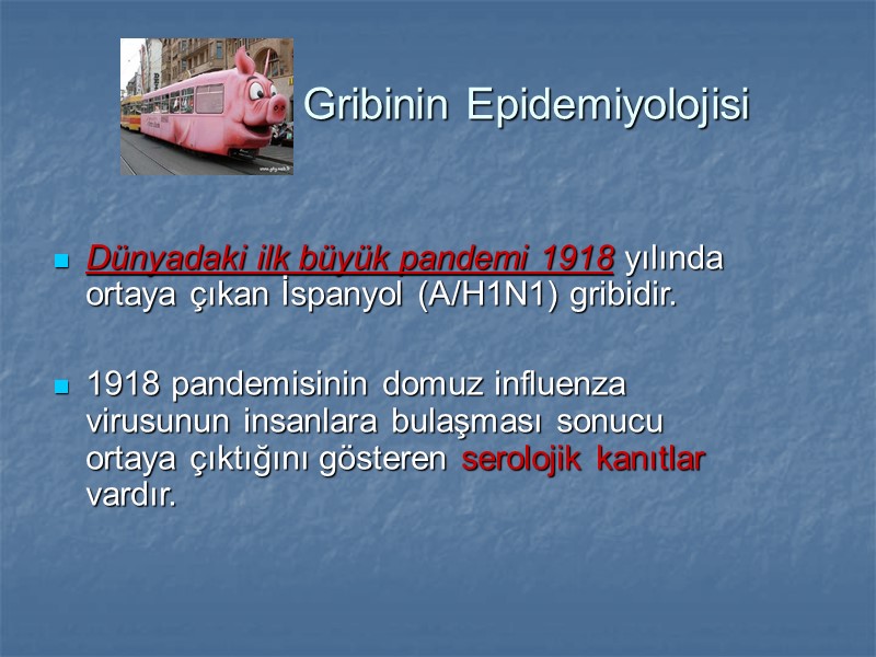 Gribinin Epidemiyolojisi  Dünyadaki ilk büyük pandemi 1918 yılında ortaya çıkan İspanyol (A/H1N1) gribidir.